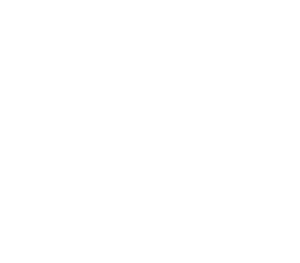 Palacio Digital Logo